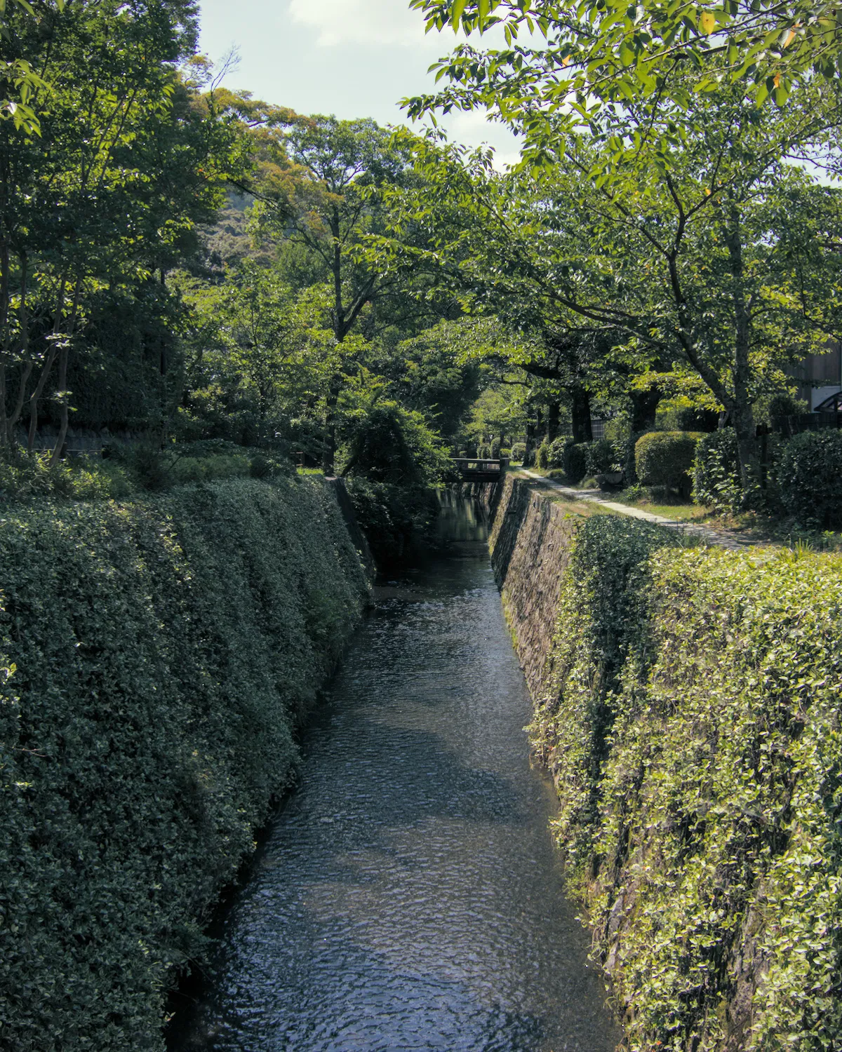 The canal running beside the Philosopher's Path