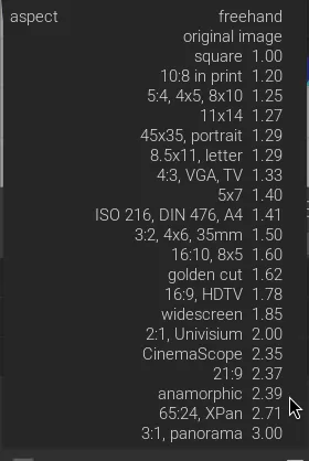 A screen capture of Darktable’s predefined aspect ratios