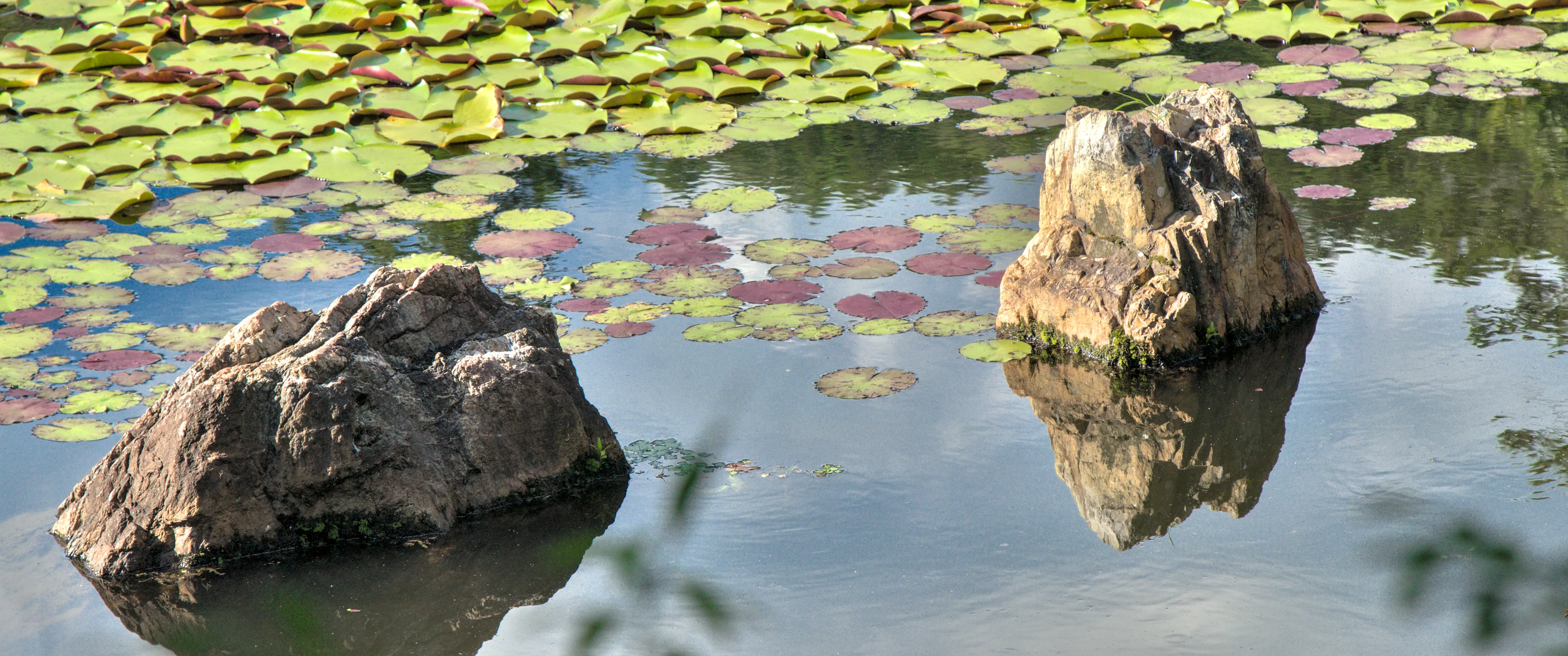 Two rocks in a pond