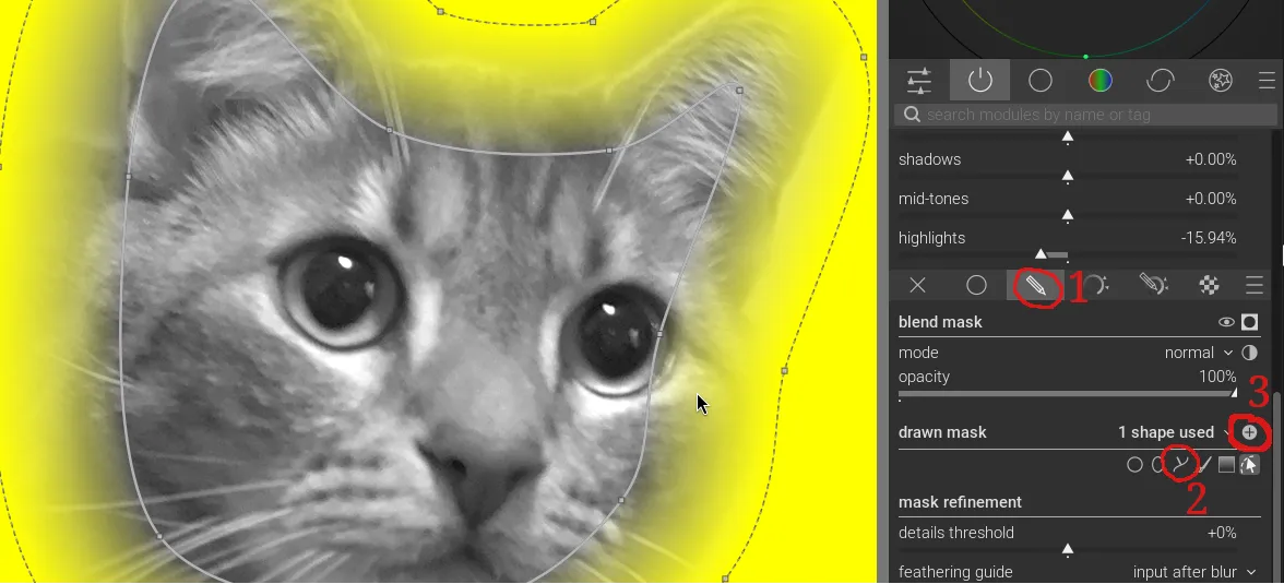 A screenshot showing how to apply a mask to the image