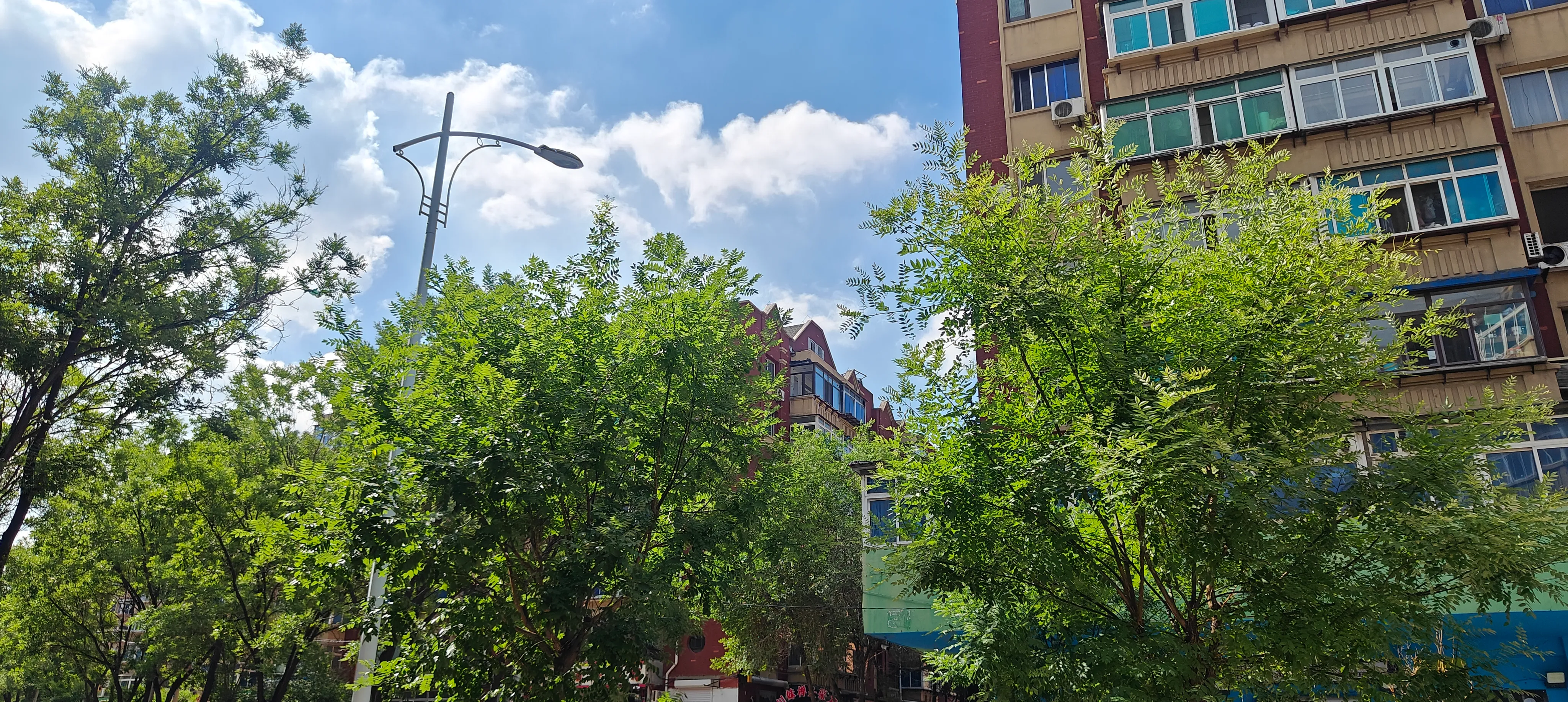 A photo of a blue sky and some trees in front of an apartment
