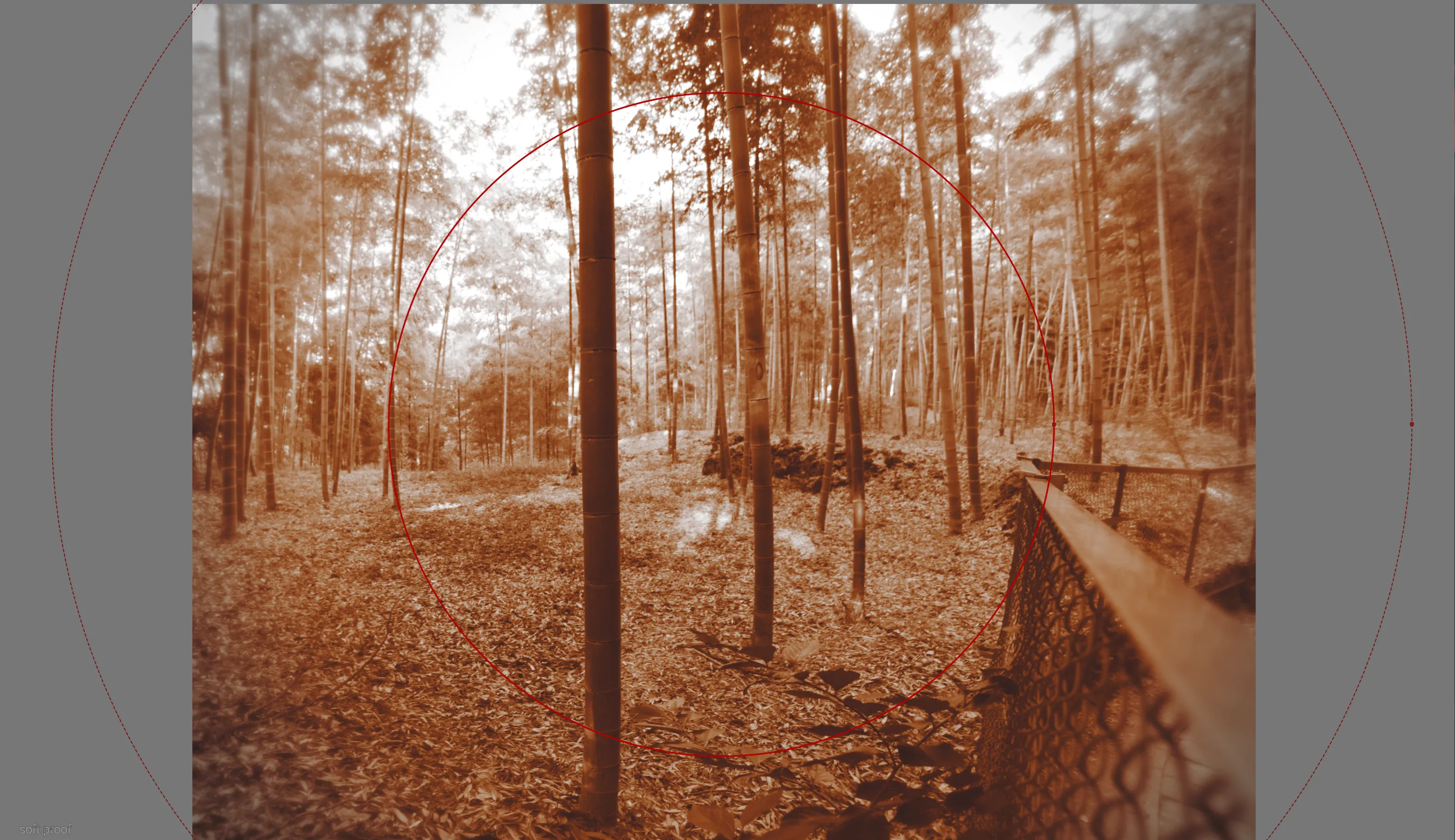 A screenshot demonstrating the size and shape of a mask applied to the edges of the photograph