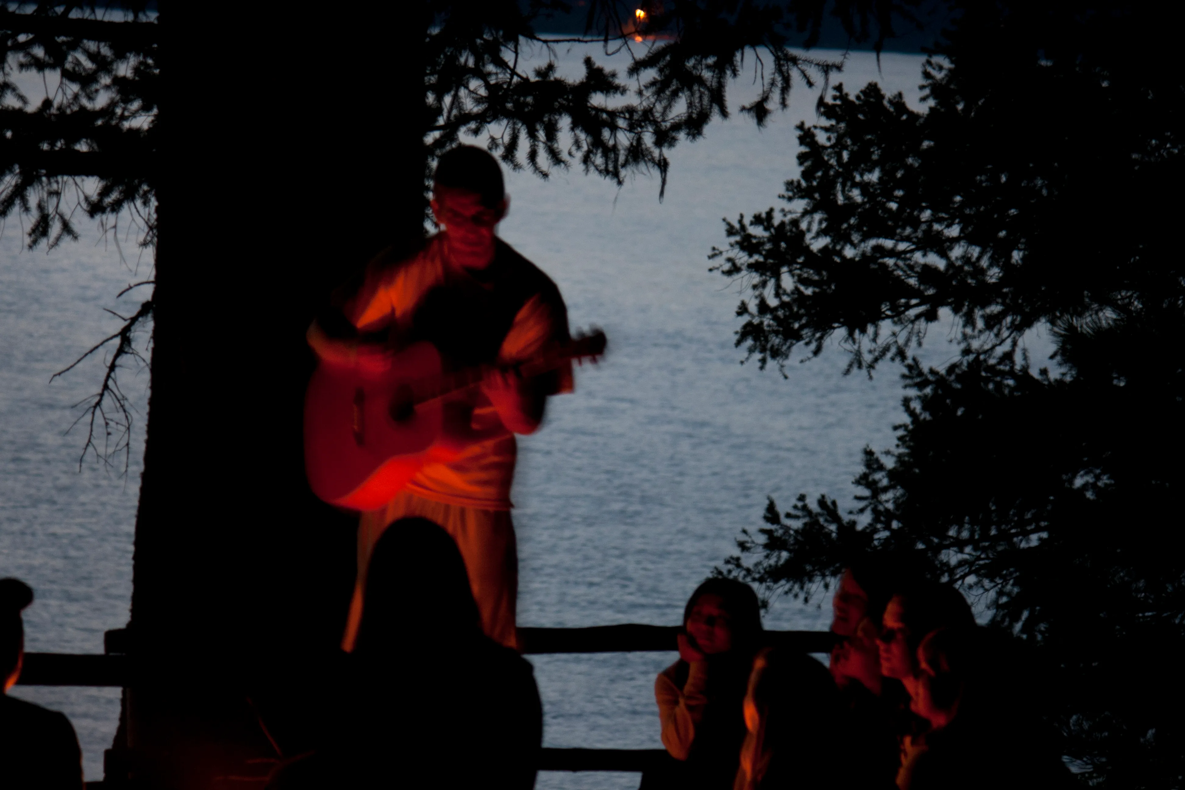 A person near a lakeshore at dusk appears as a soft orange blur among dark tree trunks.
