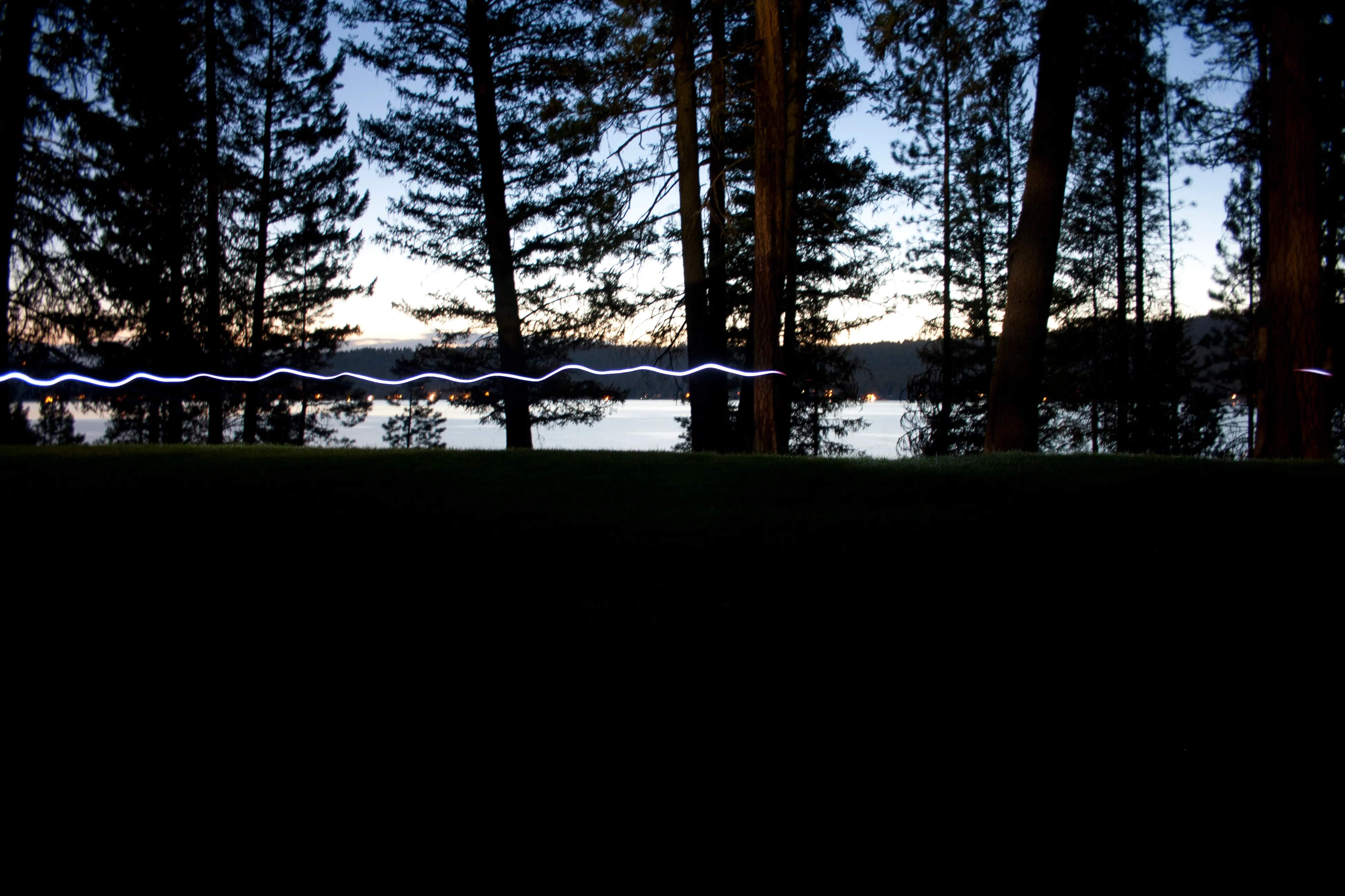 A glowing blue line cuts across a lakeside scene at dusk between dark pine trunks.