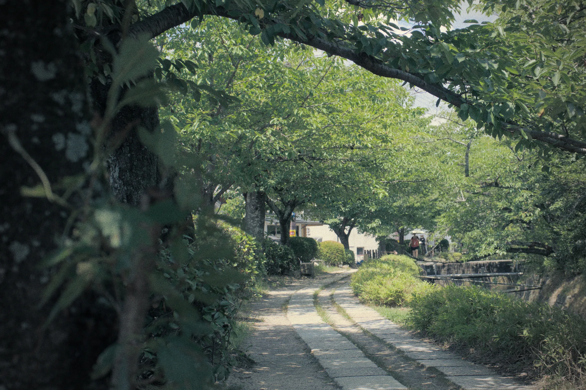 The Philosopher's Path, with an old photo effect applied