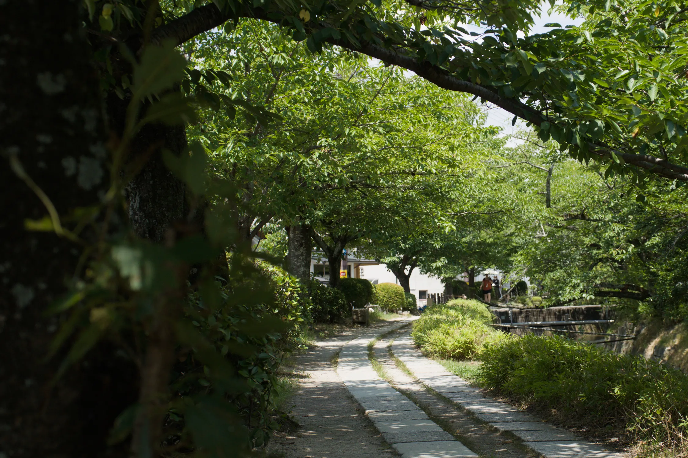 The philosopher's path