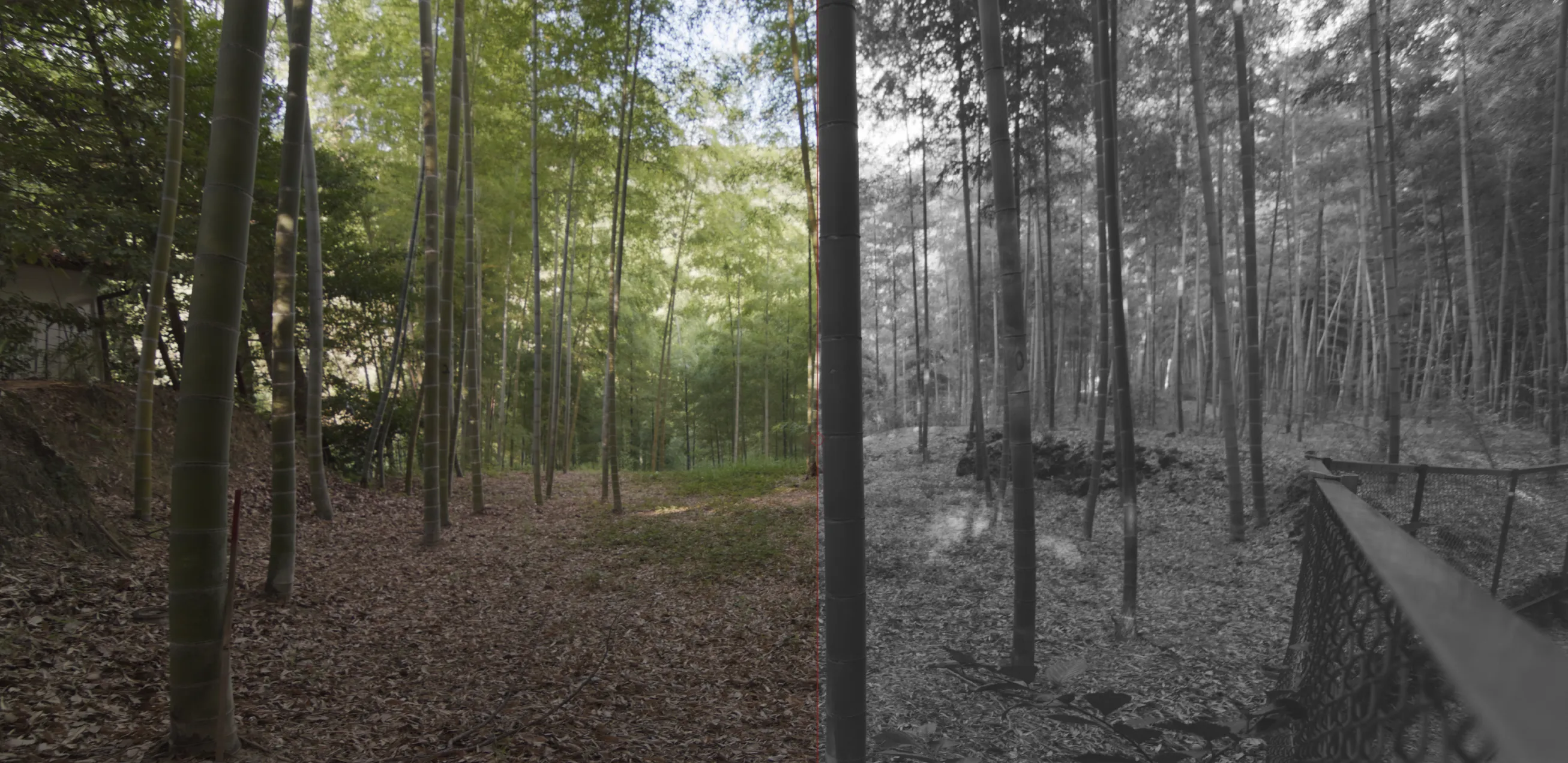 A side-by-side comparison of an original image and a monochrome version.
